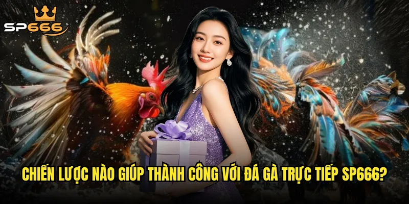 Đá gà trực tiếp Sp666 có mang lại cảm giác hồi hộp như ở trường gà thật? 3 Chiến lược nào giúp thành công với đá gà trực tiếp Sp666?