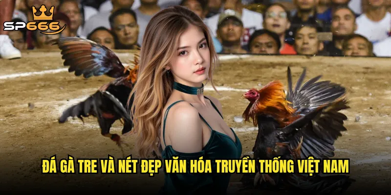 Đá gà tre Sp666 có phải là hình thức giải trí dân dã đang được hồi sinh? 2 Đá gà tre và nét đẹp văn hóa truyền thống Việt Nam
