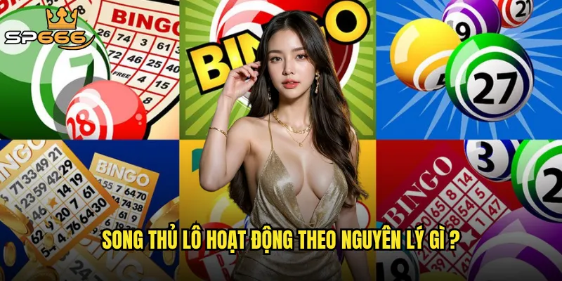 Song thủ lô Sp666 có phải chiến lược tối ưu cho người chơi thông minh? 2 Song thủ lô hoạt động theo nguyên lý gì ?